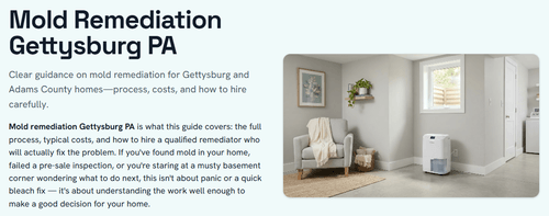 Mold Remediation in Gettysburg, PA: New Guide Details Process, Costs, and Hiring Criteria