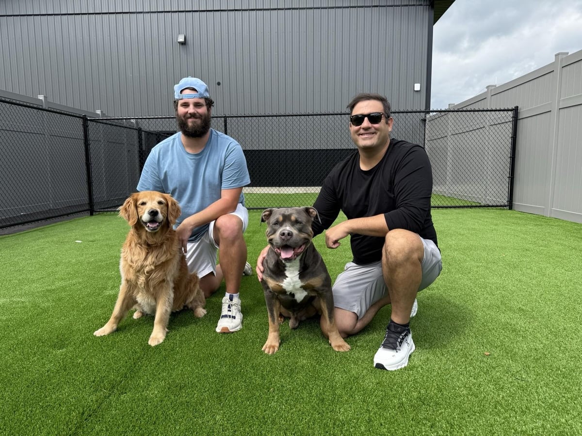 Dog Daycare Rotterdam NY: Barkingham Palace Opens New Facility