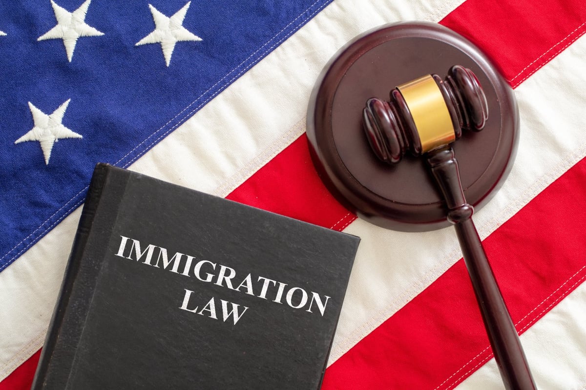 Immigration Law book and judge's gavel resting on an American flag